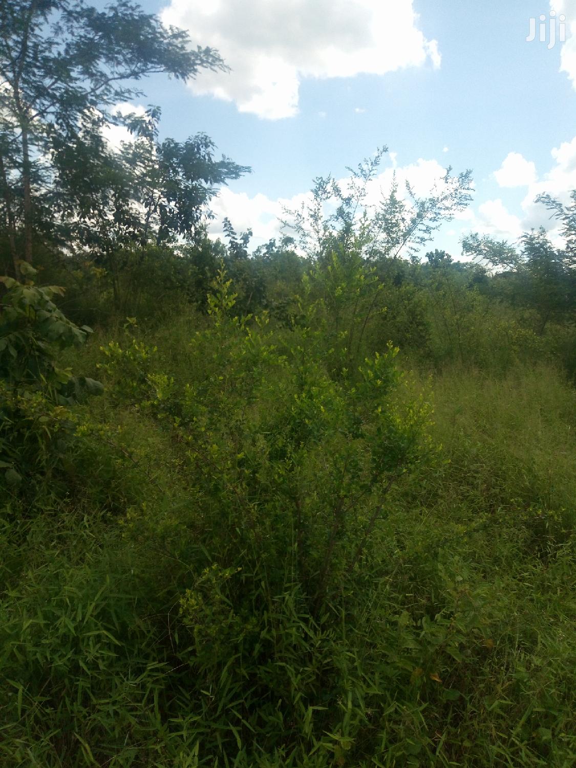 Shamba Linauzwa