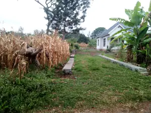 Jipatie Viwanja Arusha Na Boma Ng'ombe