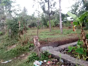 Viwanja Kwa Bei Nafuu Arusha Na Kilimanjaro