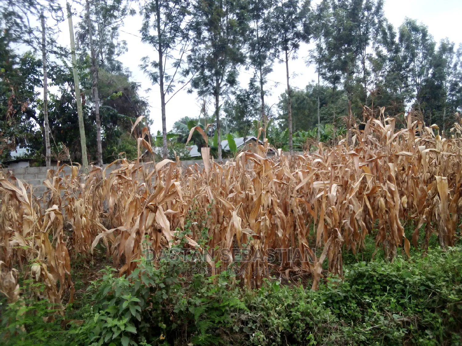 Vunja Bei Ya Viwanja Arusha