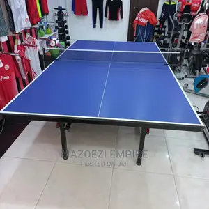 Table Tennis Now Available
