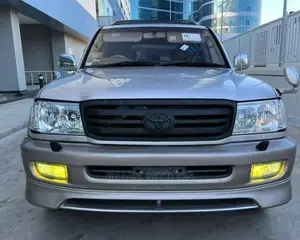 Toyota Land Cruiser 2003 Gray