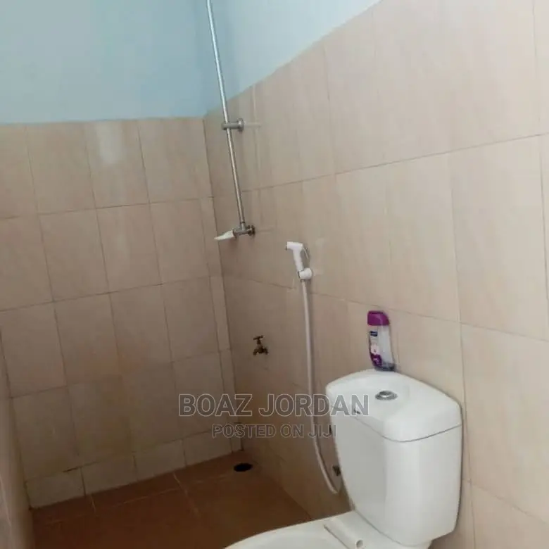 Furnished 1bdrm Apartment in Boaz Mwakyembe, Bunju for Rent