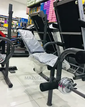 Weights Place Bench Weights