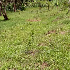Maeneo Bora Kwa Uwekezaji Sheli Magodwn Nk