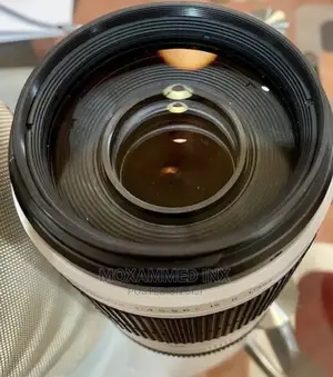 Canon EF 100-400mm F/4.5-5.6l IS II USM Lens - White