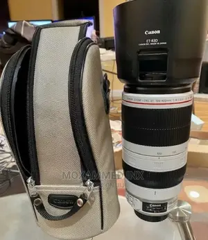 Canon EF 100-400mm F/4.5-5.6l IS II USM Lens - White
