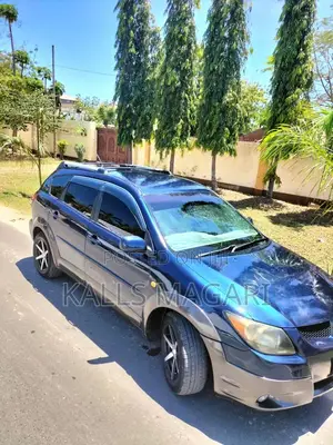 Toyota Voltz 2004 Blue