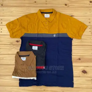 Fashion Colour T-Shirts