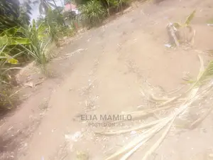 Kiwanja Cha SQM 8oo Kinauzwa Kigamboni