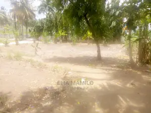 Kiwanja Cha SQM 8oo Kinauzwa Kigamboni