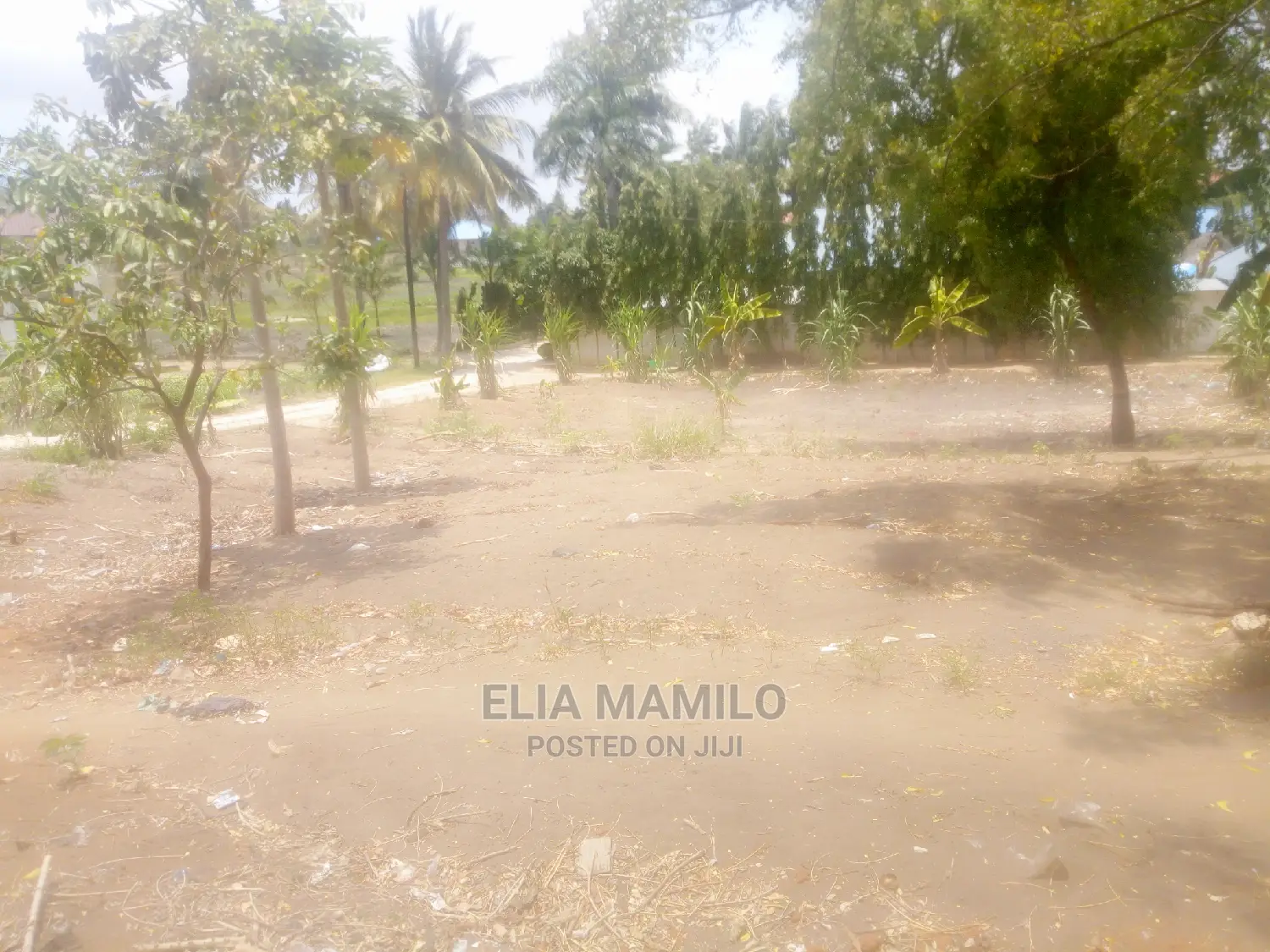 Kiwanja Cha SQM 8oo Kinauzwa Kigamboni