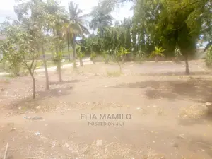 Kiwanja Cha SQM 8oo Kinauzwa Kigamboni