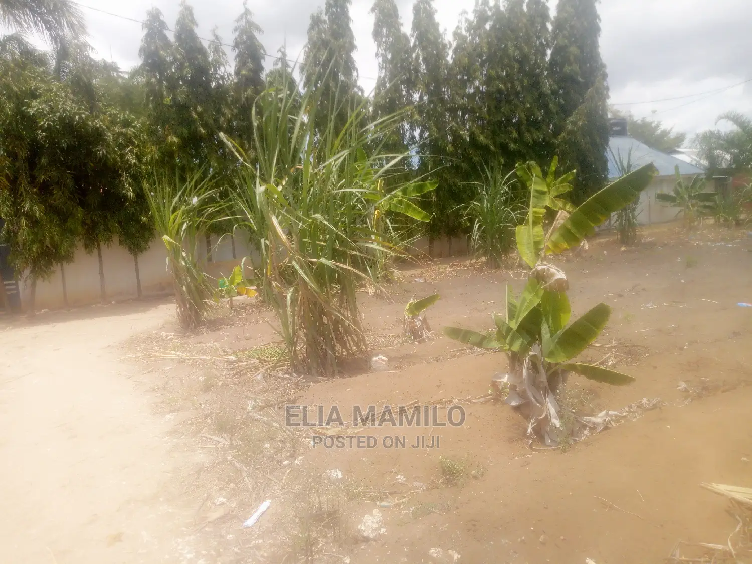 Kiwanja Cha SQM 8oo Kinauzwa Kigamboni