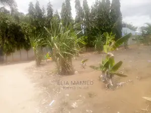 Kiwanja Cha SQM 8oo Kinauzwa Kigamboni