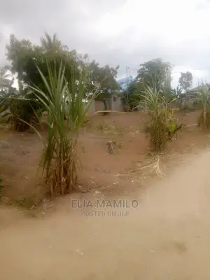 Kiwanja Cha SQM 8oo Kinauzwa Kigamboni