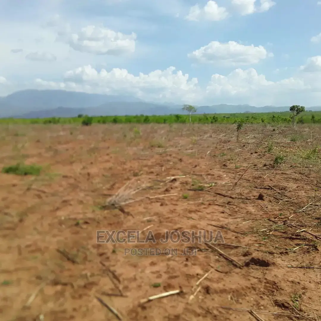 Shamba Linauzwa Morogoro