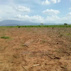 Shamba Linauzwa Morogoro