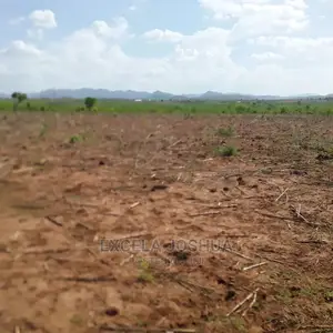 Shamba Linauzwa Morogoro
