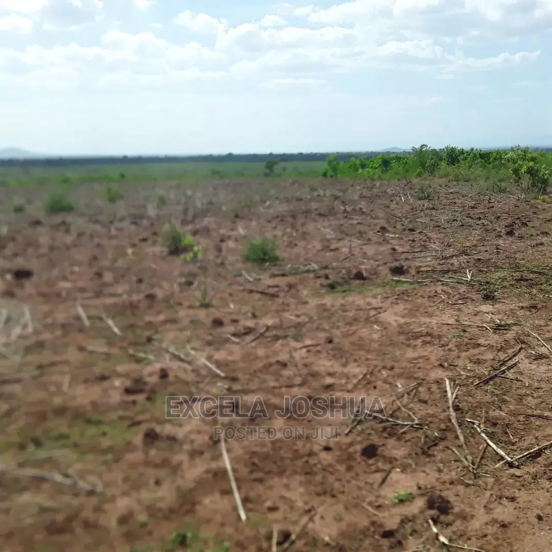Shamba Linauzwa Morogoro
