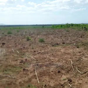 Shamba Linauzwa Morogoro