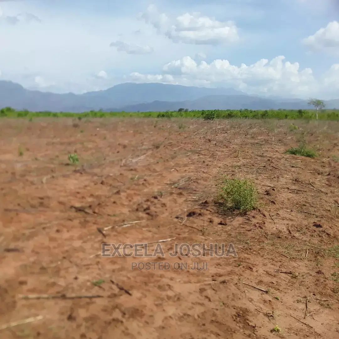 Shamba Linauzwa Morogoro