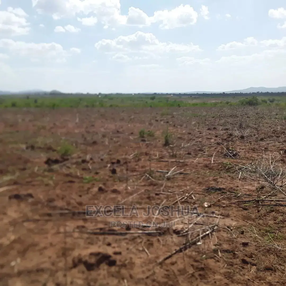 Shamba Linauzwa Morogoro