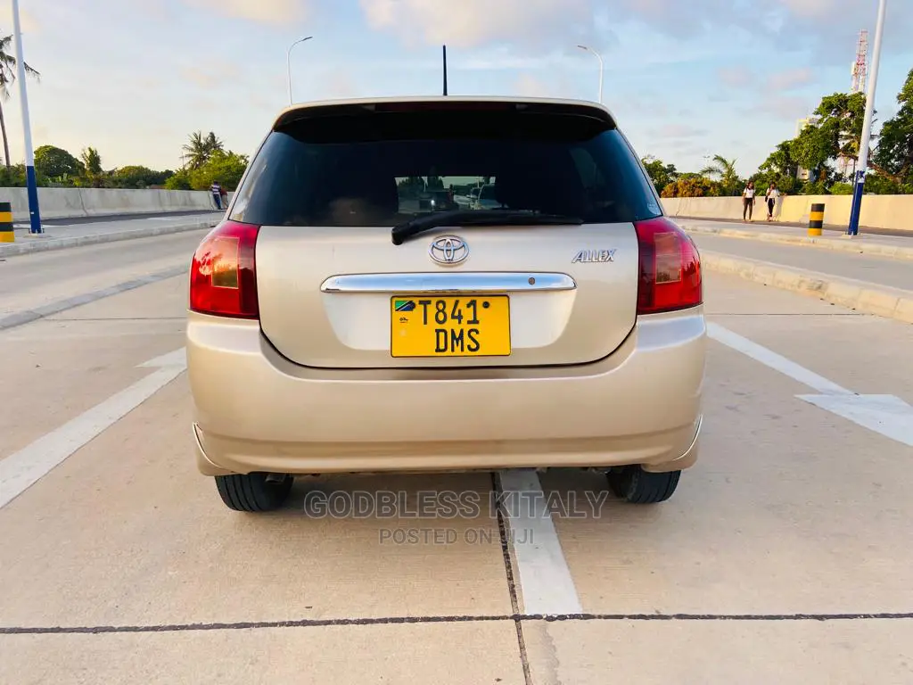 Toyota Allex 2002 Gold