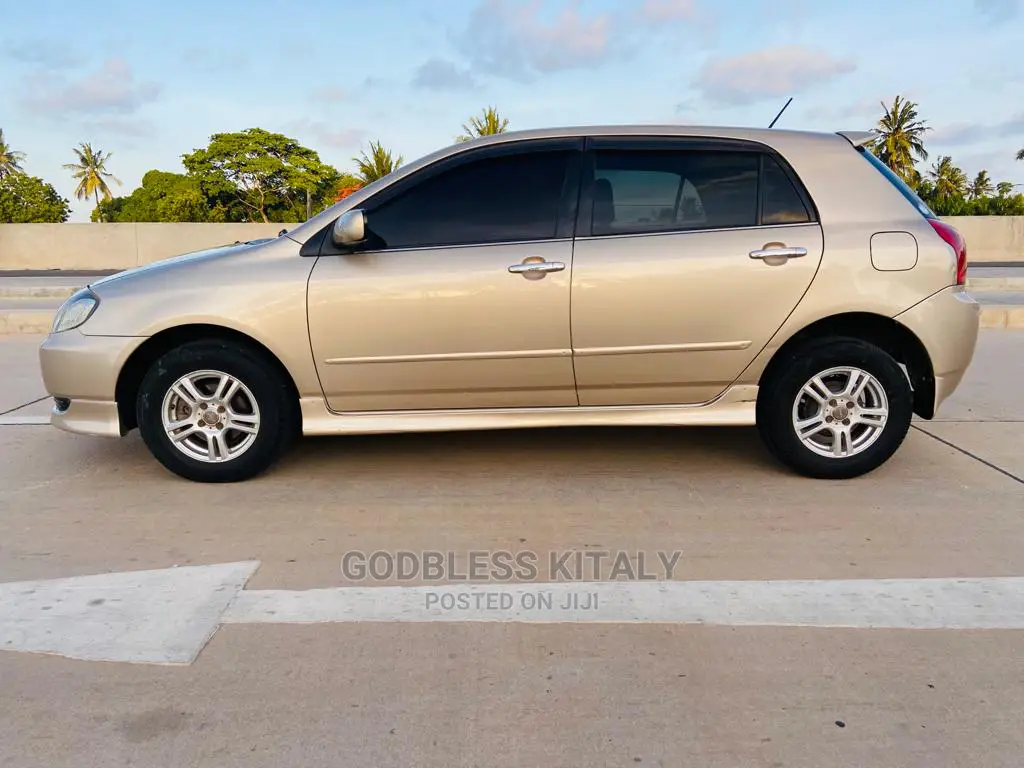 Toyota Allex 2002 Gold