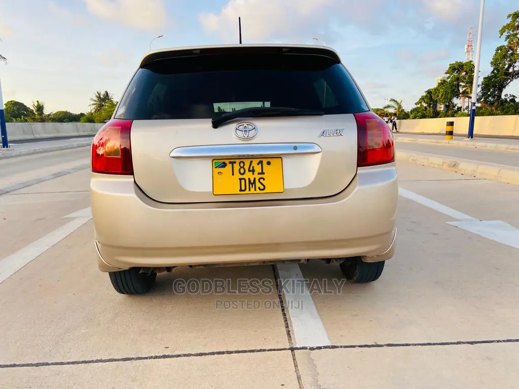 Toyota Allex 2002 Gold