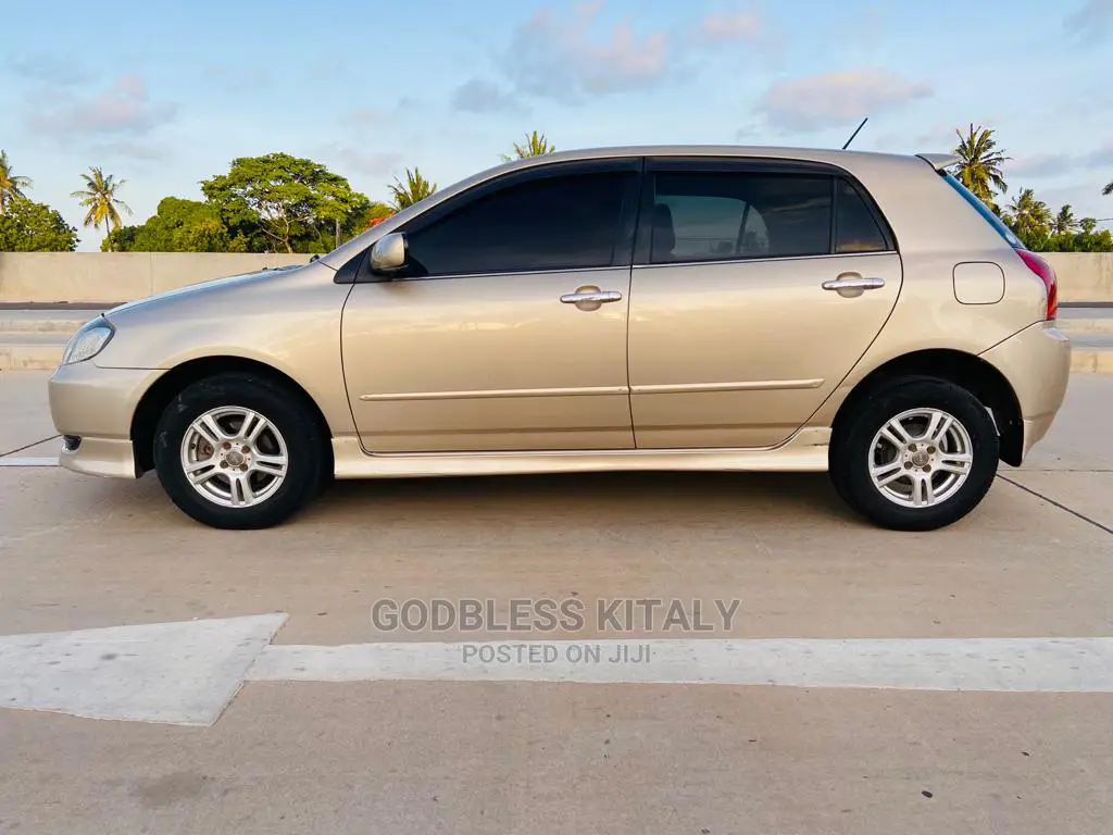 Toyota Allex 2002 Gold