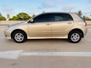 Toyota Allex 2002 Gold
