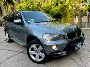 BMW X5 2007 Gray