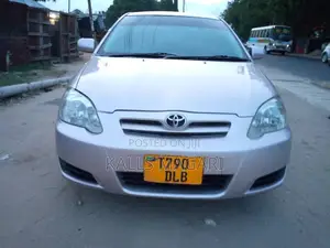Toyota Allex 2003 Silver