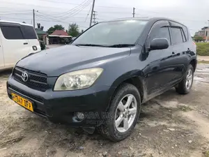 Toyota RAV4 2007 Gray