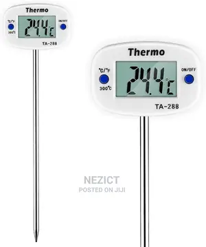 Digital Thermometer TA-288
