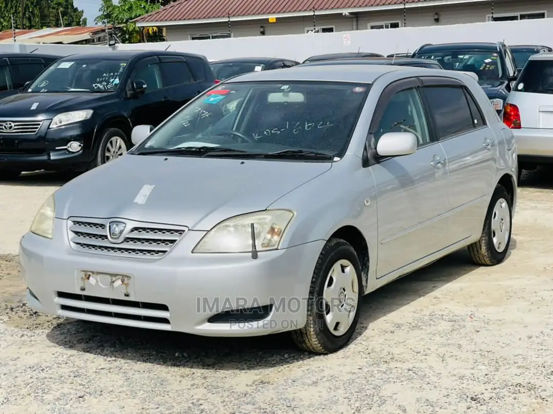 Toyota Allex 2001 Silver