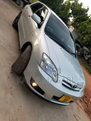 Toyota Allex 2003 Silver