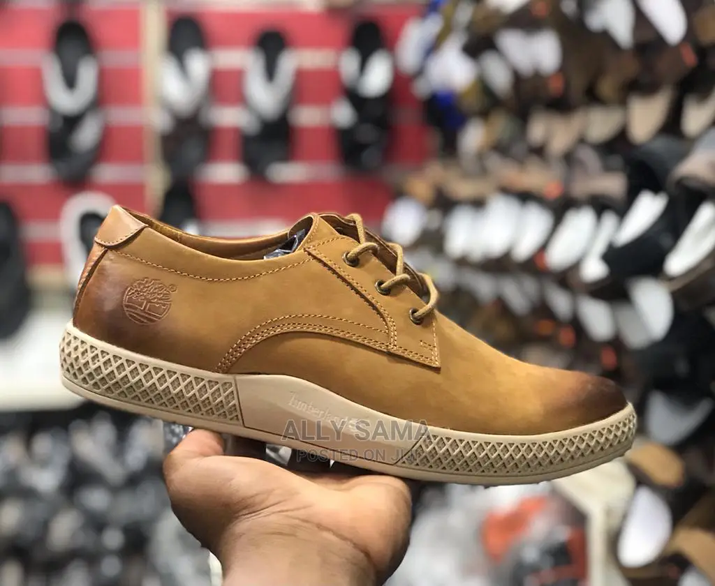 Timberland Brown