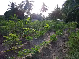 Kiwanja Tegeta A