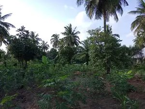 Kiwanja Tegeta A