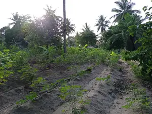 Kiwanja Tegeta A
