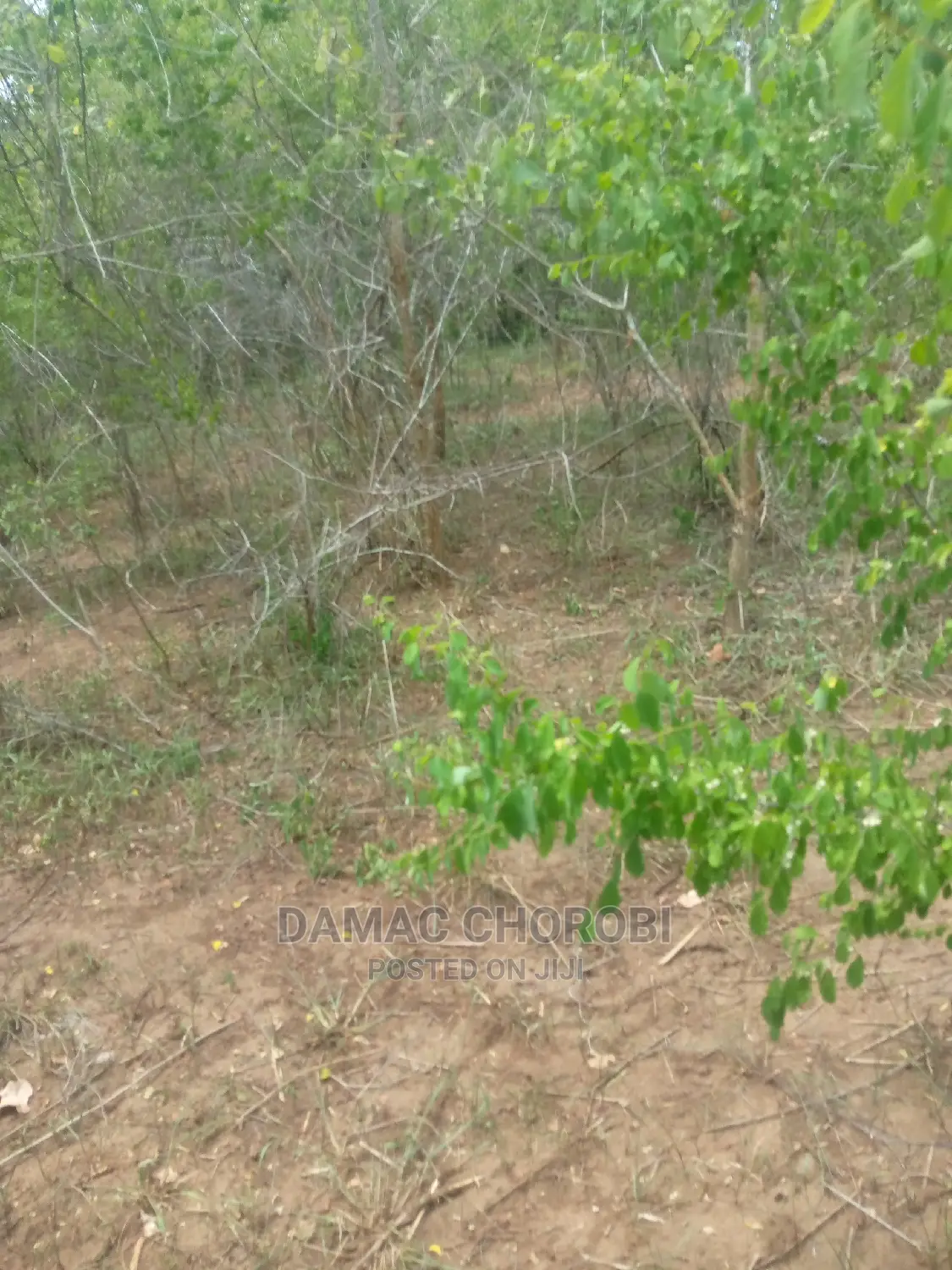 Shamba Linauzwa Mbwewe Pwani Ukubwa 100