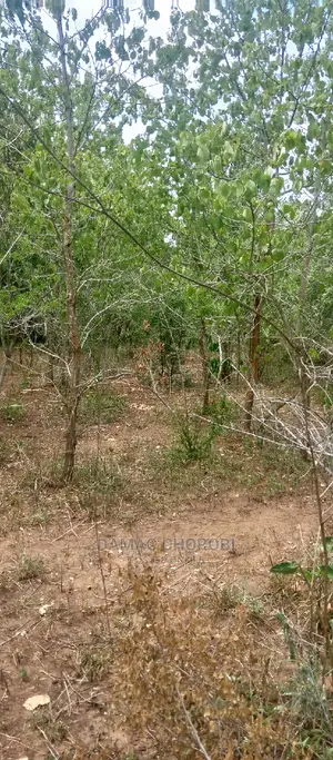 Shamba Linauzwa Mbwewe Pwani Ukubwa 100