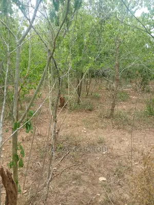 Shamba Linauzwa Mbwewe Pwani Ukubwa 100