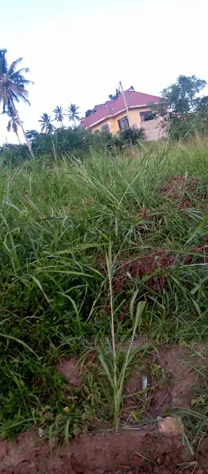 Acre 25 Zinauzwa Mbwewe Pwani Bagamoyo
