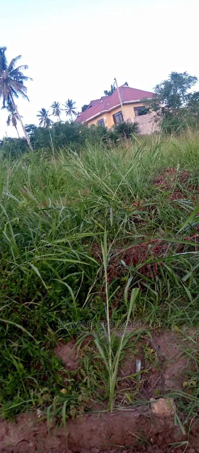 Acre 25 Zinauzwa Mbwewe Pwani Bagamoyo