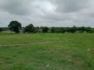 Kiwanja Tambarare Lami Mita100