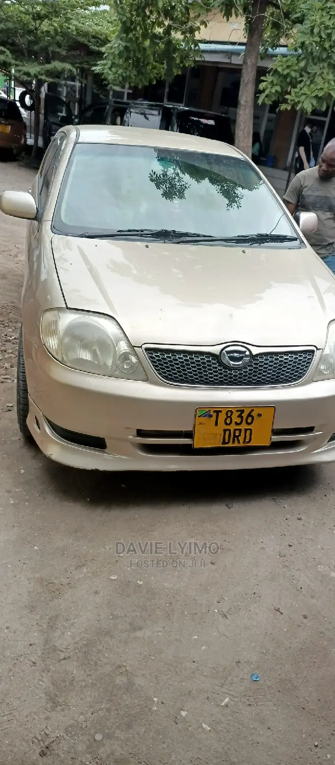 Toyota Corolla RunX 2002 Gold