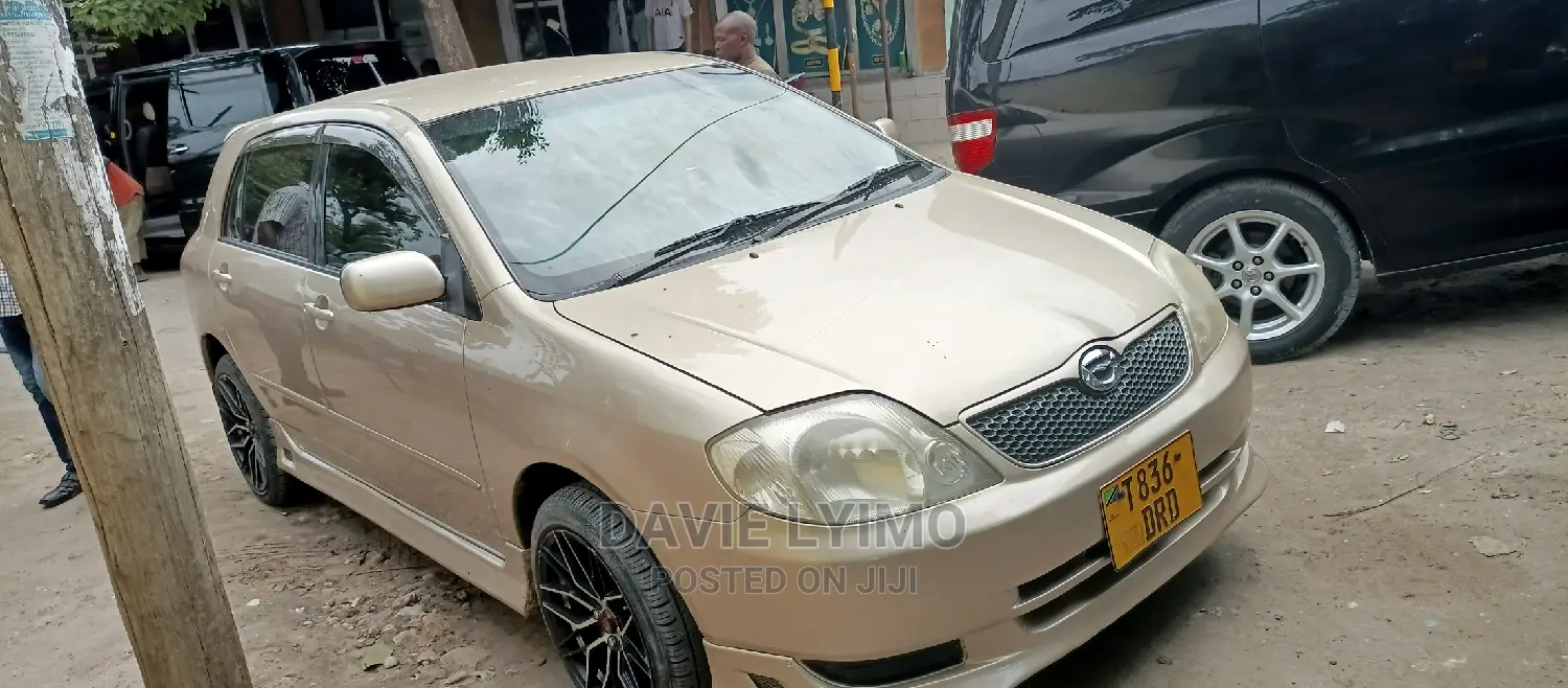 Toyota Corolla RunX 2002 Gold